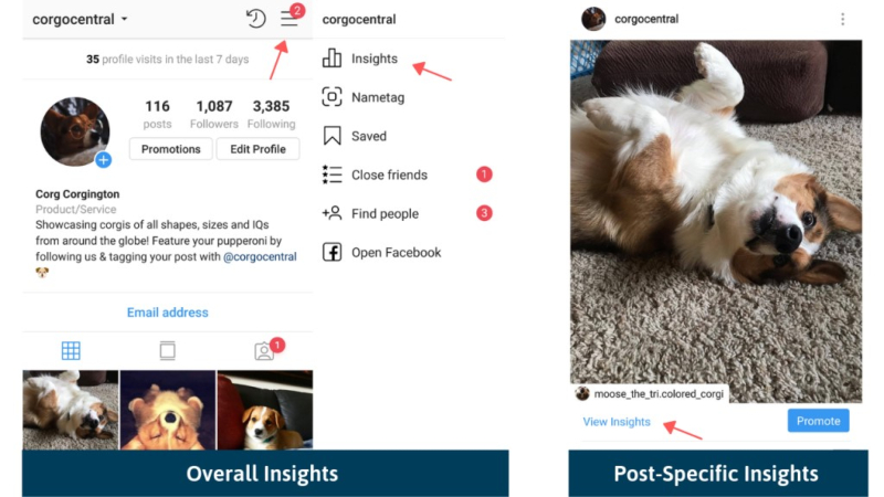 Instagram Business