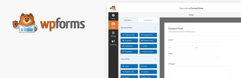 wp plugins for seo forms