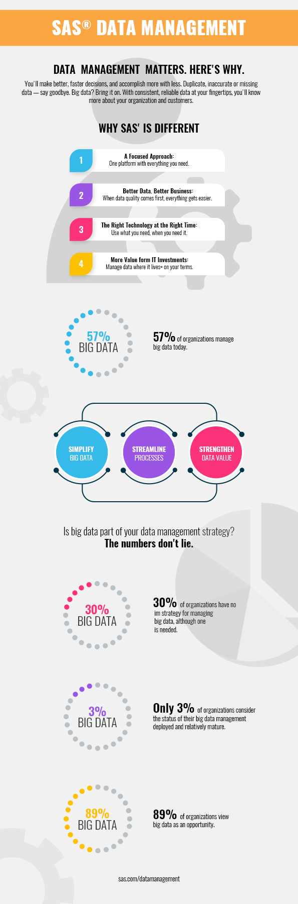 SaS Data Management Infographic