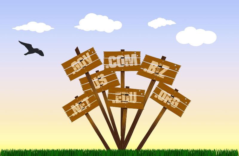 Choose correct web hosting domain