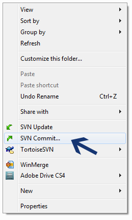 Creating SVN Repository using Tortoise SVN