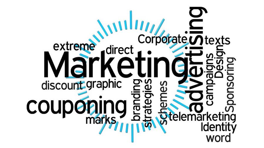 5 Essential Parts of a Marketing Plan