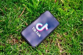 The Art and Strategy of Gaining TikTok Followers